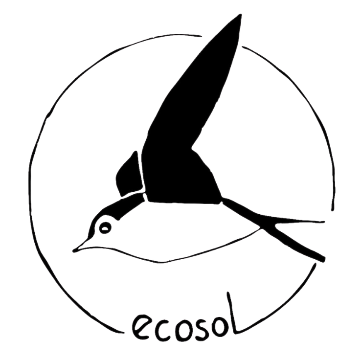 BLAGNAC ECOSOL